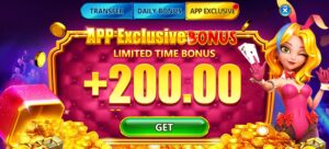 app-exclusive-option