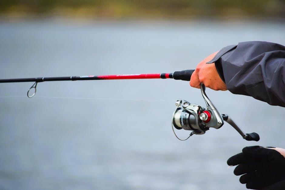 Fishing Rod Game - Image 3