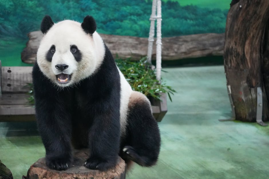Panda Holding Tablet - Image 3