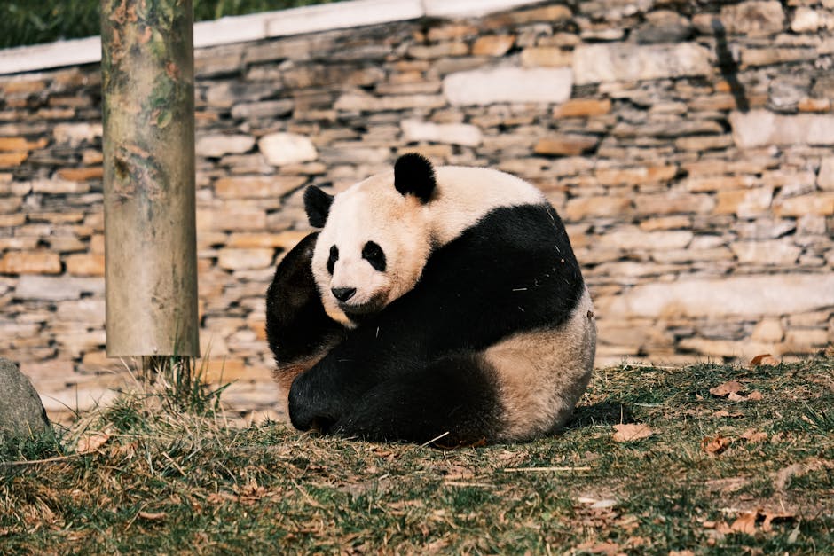 Panda Backend Agent - Image 3