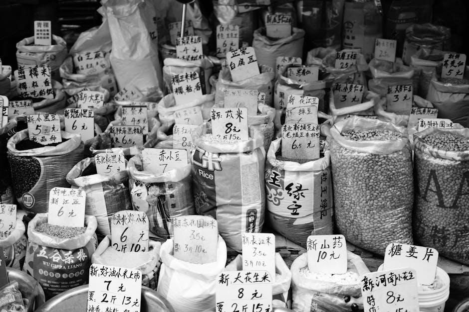 Panda Wholesale Prices - Image 2