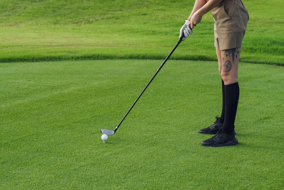 Panda Playing Golf