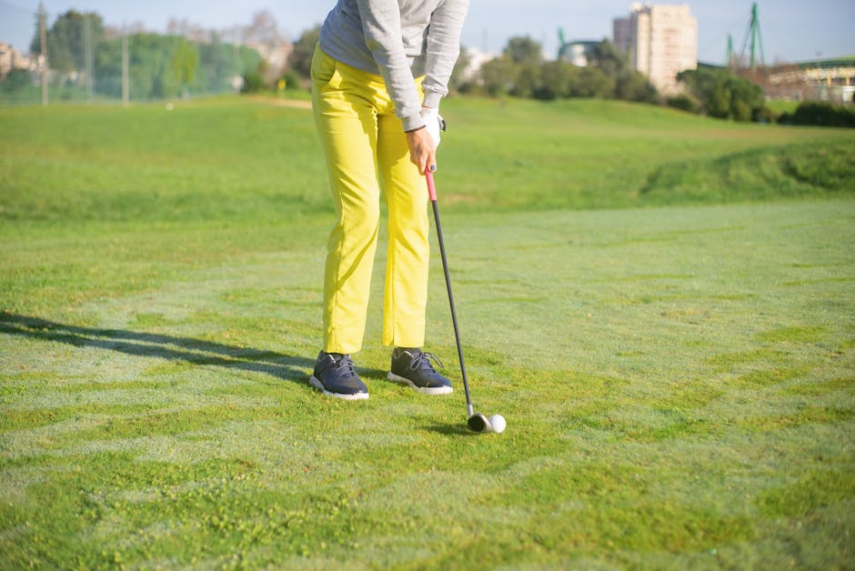 Panda Playing Golf - Image 3