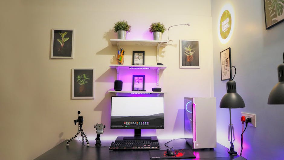 Panda Computer Setup - Image 3