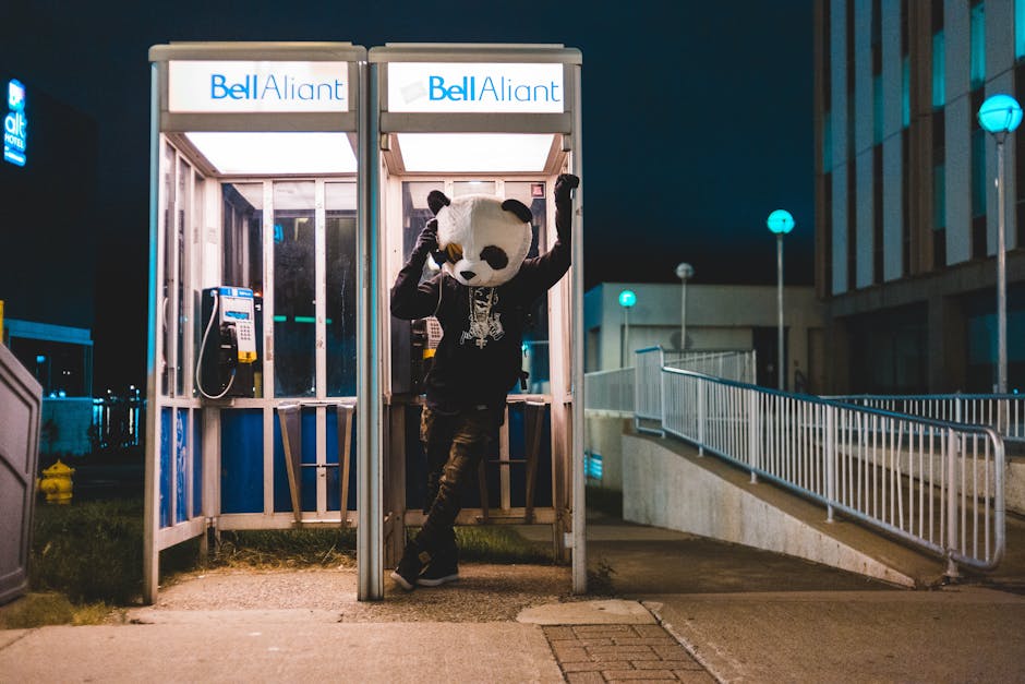 Panda Brand Owner - Image 2